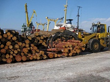 Вывоз необработанной древесины в Китай: какие документы необходимы экспортеру