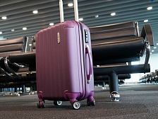 Госдума — путешественникам: что делать, если потерялся багаж