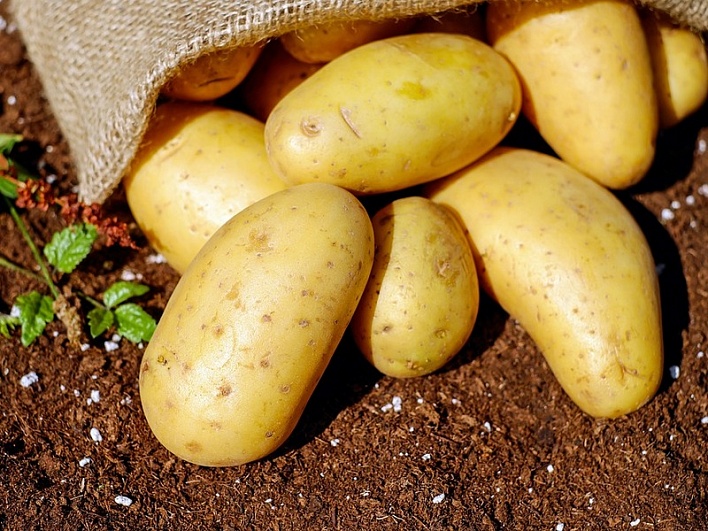 Украина может запретить импорт картофеля из России