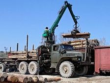 В январе вырос импорт древесины из России в китайский город Маньчжоули